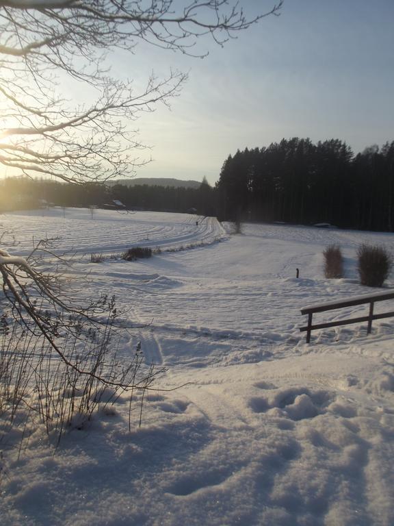 Stuga Hult Villa Hagfors Ruang foto